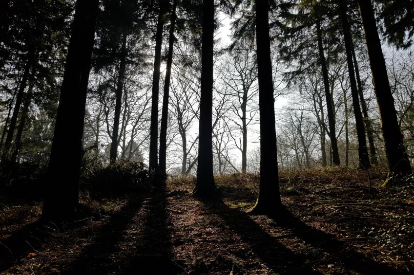 Mercure Hotel - Standard Twin Room - foto 31