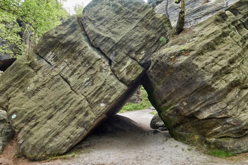 am Hofladen Hellendorf - Sächsische Schweiz - foto 25