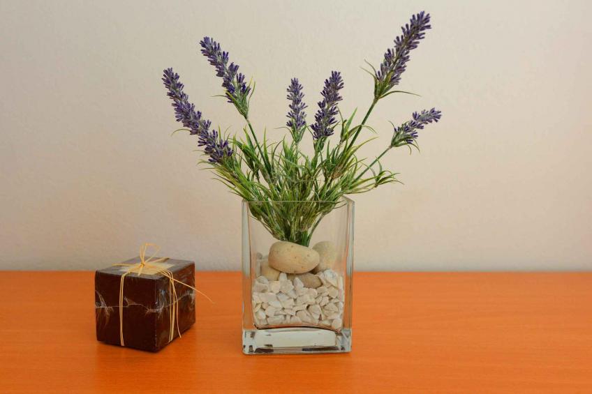 Holiday apartment with garden and barbecue - BF-JZK9 - foto 8