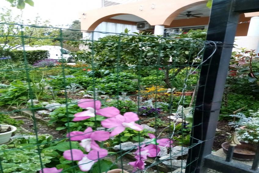 Apartments Vanja Škara Biograd - Two Bedroom Apartment with Terrace (Dvica) - foto 17