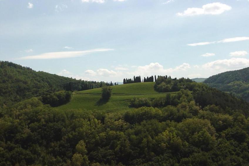 Appartamento Le Colline - foto 35