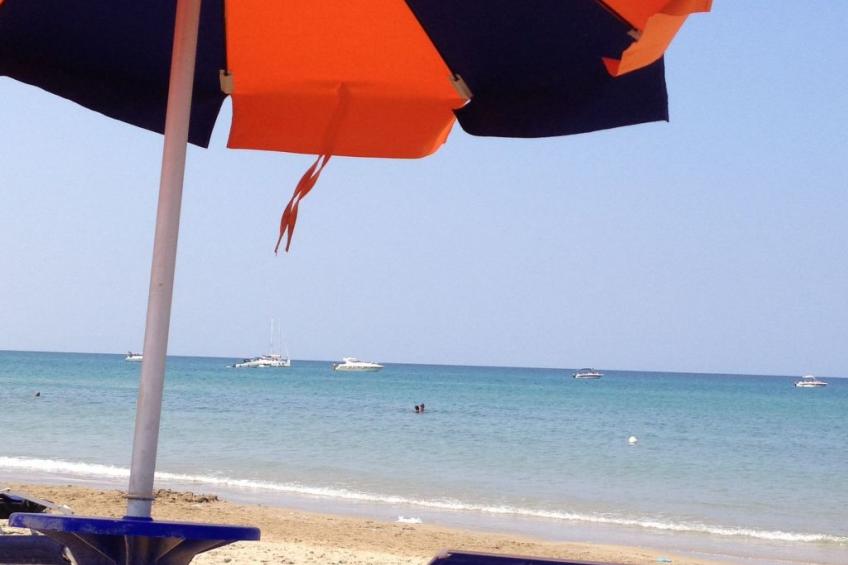 Anwesen mit privatem Garten und Grill - foto 24