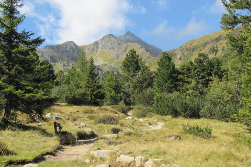 Domus Magnus - foto 34