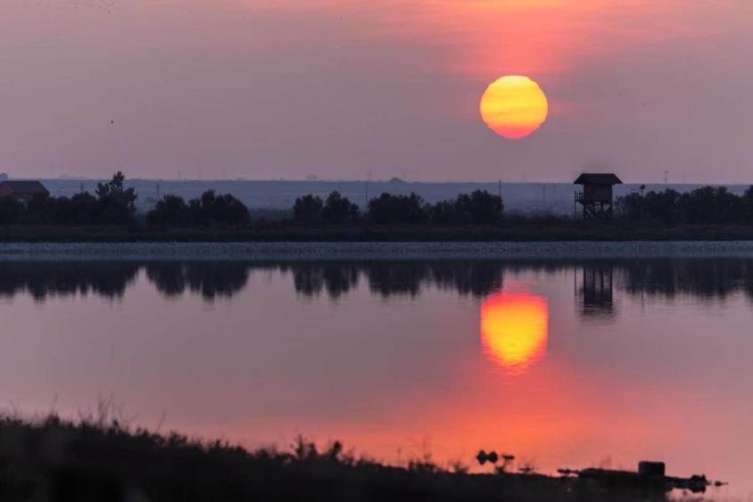 Villa Bruni - foto 24