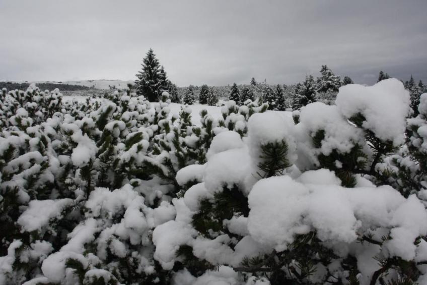 mit Blick auf das Wasser - foto 28