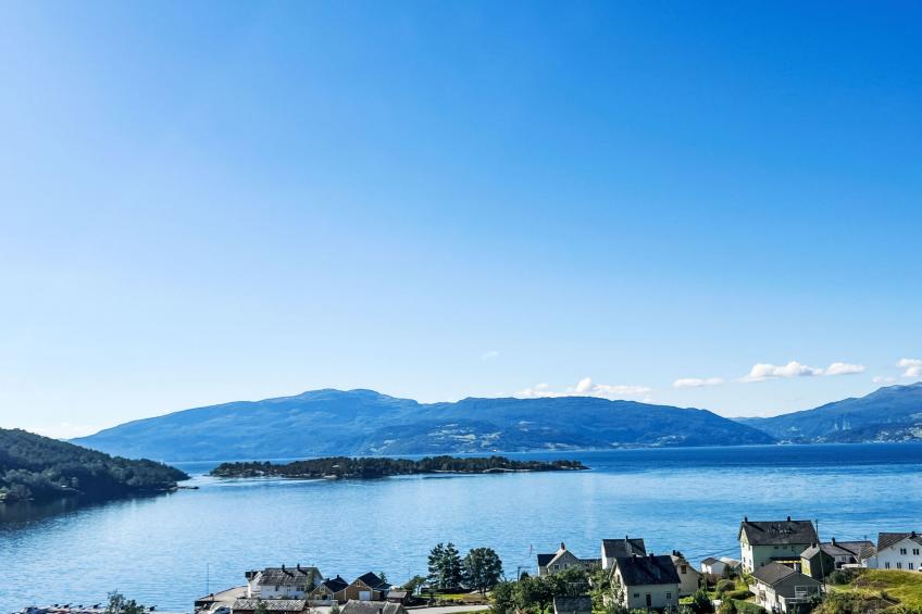 Samlen Vasselgård - foto 35