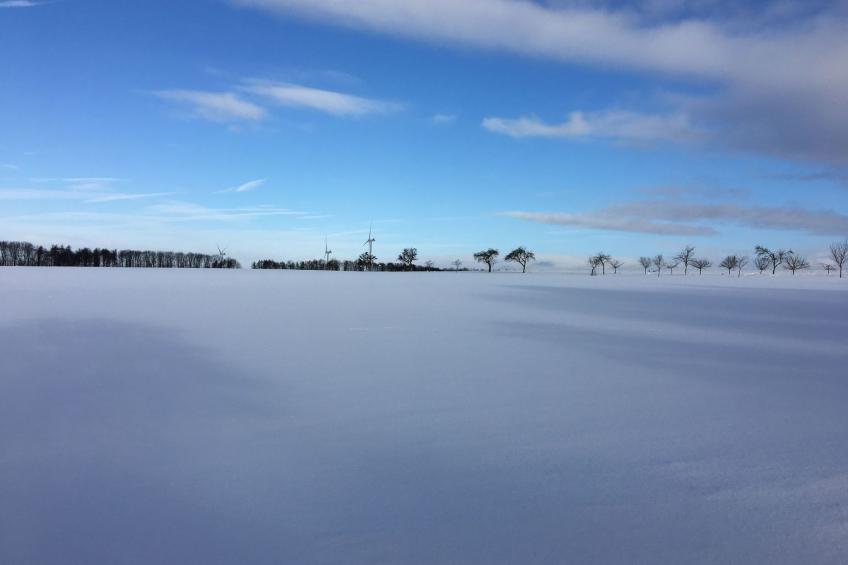 FeWo 5 Jahreszeiten - foto 38