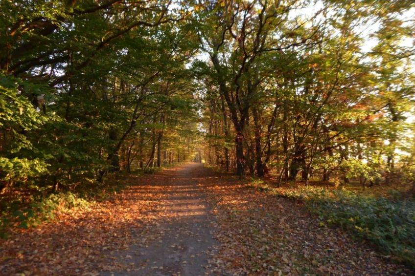 Ferienwohnung Dunker nähe Ostsee - foto 22
