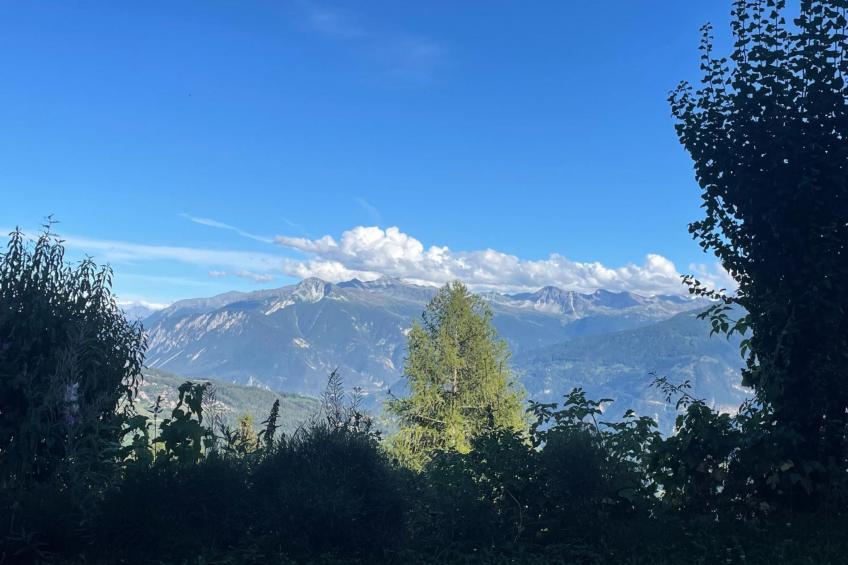 Tiny House facing the Alps - Ski in and out - foto 10