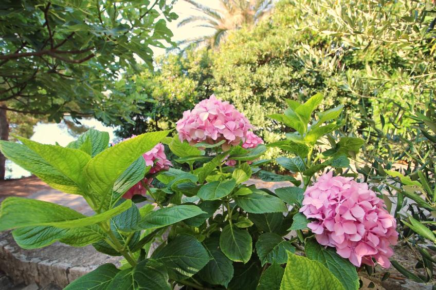 Apartment Kim- Two Bedroom Apartment with Terrace and Sea View - foto 12