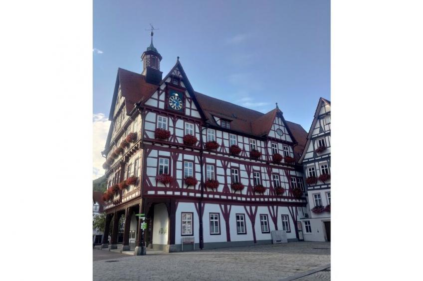 465833 - foto 31