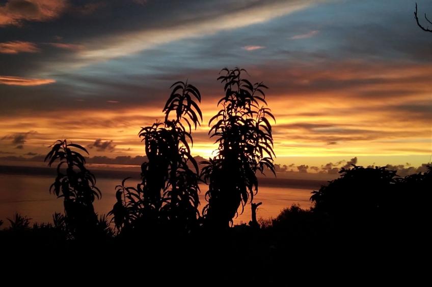 in Monte Breñas mit Grill, Terrasse und Garten - foto 30