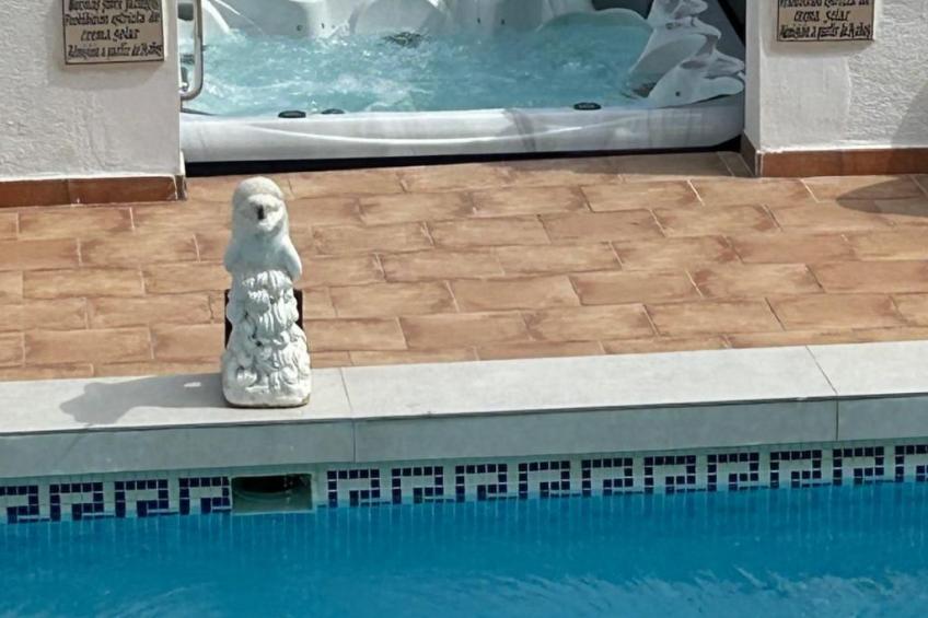 Costa Blanca - foto 25