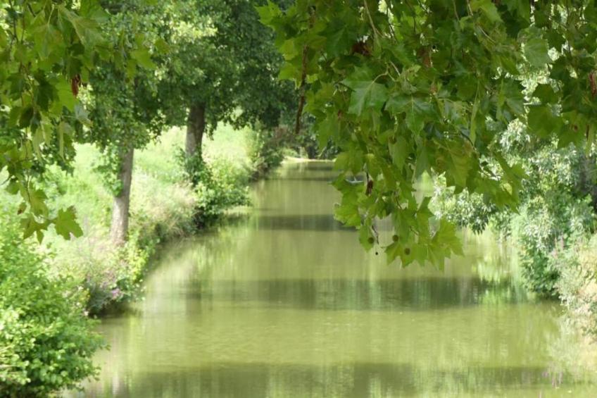 Ecolodge en Sequoia - foto 17