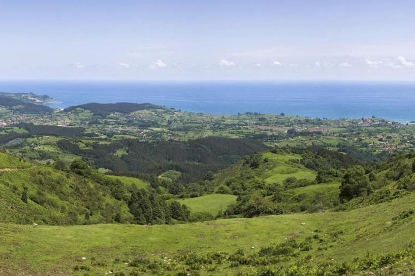 Maria Sopeña in Pruneda - foto 11