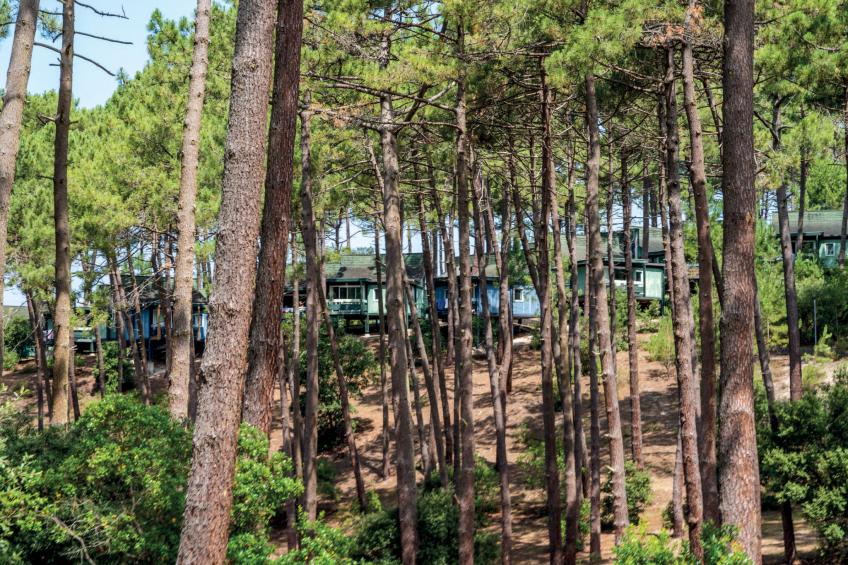 Les Cavales - foto 21