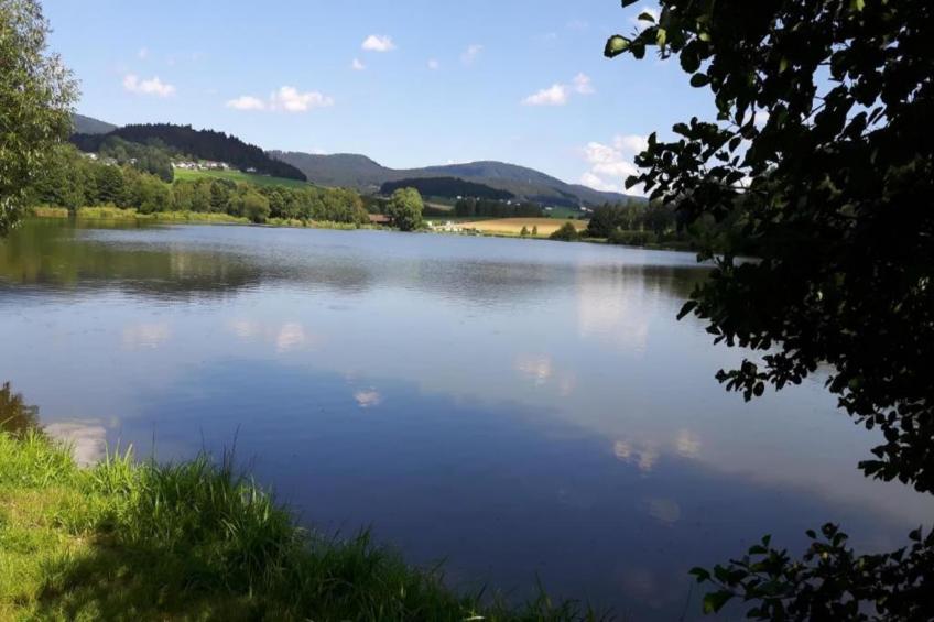 Thüringer Ferienhäuschen - foto 37