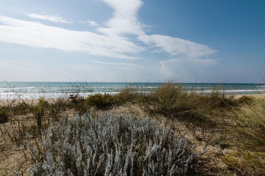 Casa Barza in Salve - foto 19