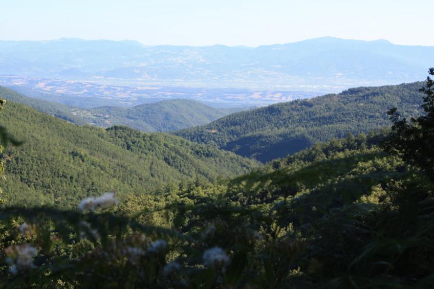 La Terrazza - foto 40