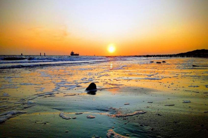 Largo Noordzee Resort Vlissingen 2 - foto 22