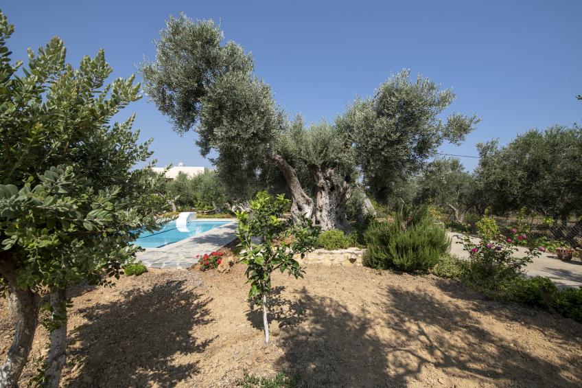 Villa Athina - foto 9