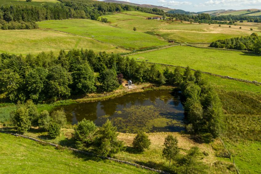 Glenquiech House - foto 57