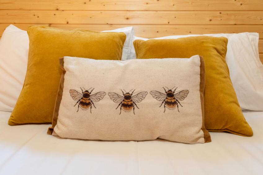 Hazel Bothy - foto 10