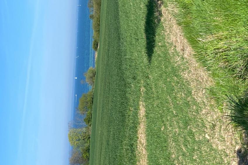 Lovely Place - foto 18