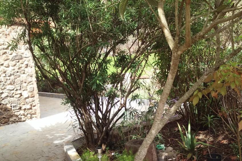 "El Laurel" - foto 27