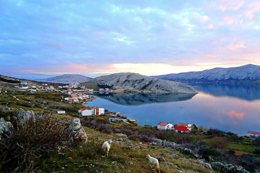 mit Blick auf das Wasser - foto 11