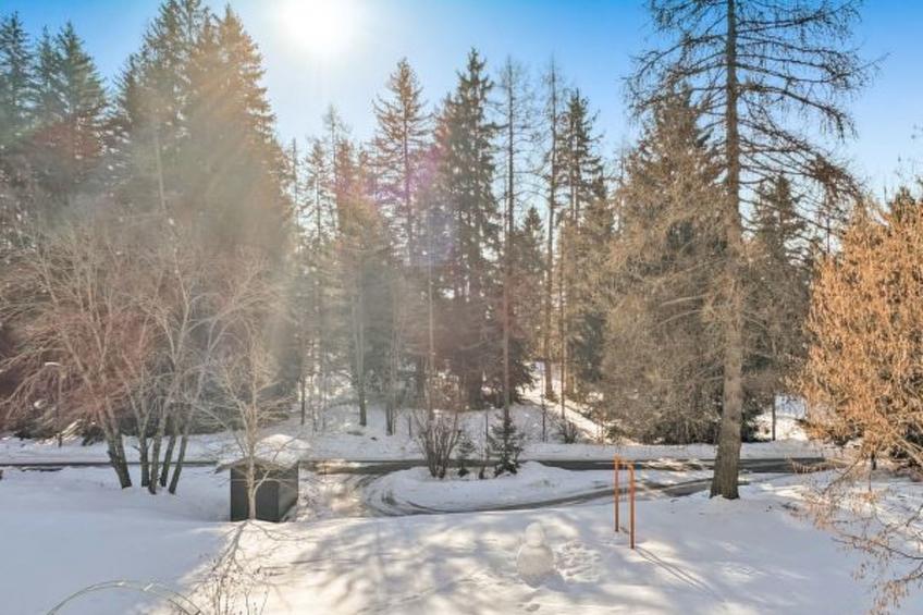 Chalet Les Girolles - Anzère - foto 20