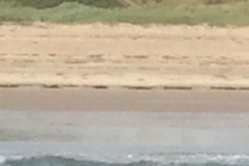 Wohnung mit Meerblick - foto 17