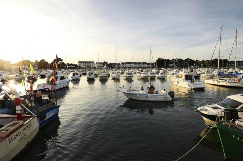 Maison à Sarzeau - foto 31