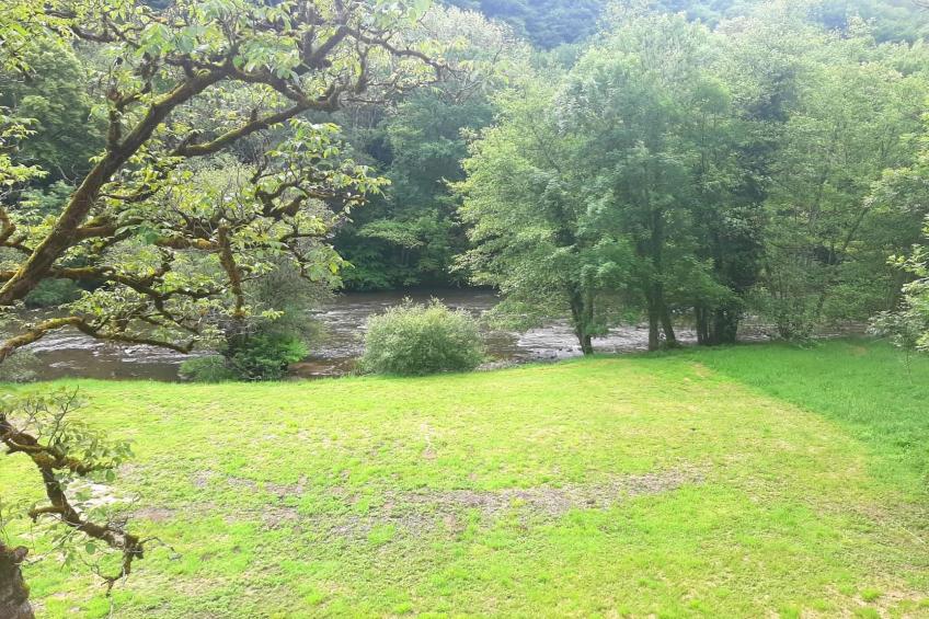 Les rives de Vézère - foto 34