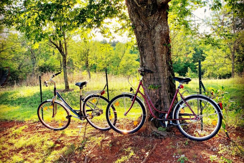 Charmante Villa mit gepflegtem Garten und beheiztem Pool - foto 27