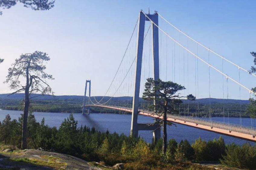 Gemütliches Ferienhaus Angermanland - höga Kusten - foto 48