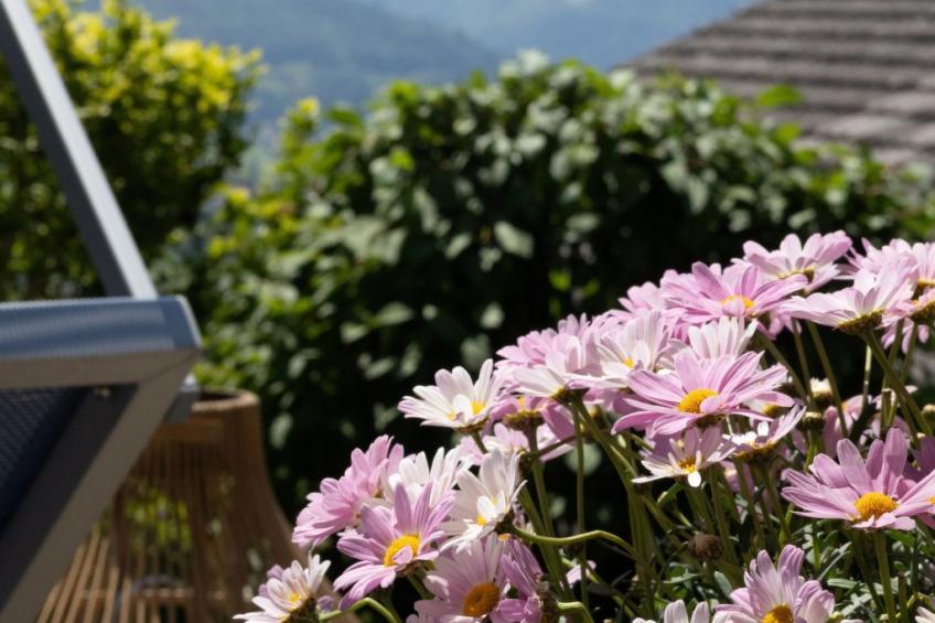 Schwyz, (Schwyz), - foto 23