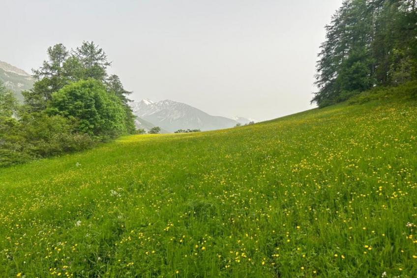 T. de la Foux N 51 - 2P5C - foto 16