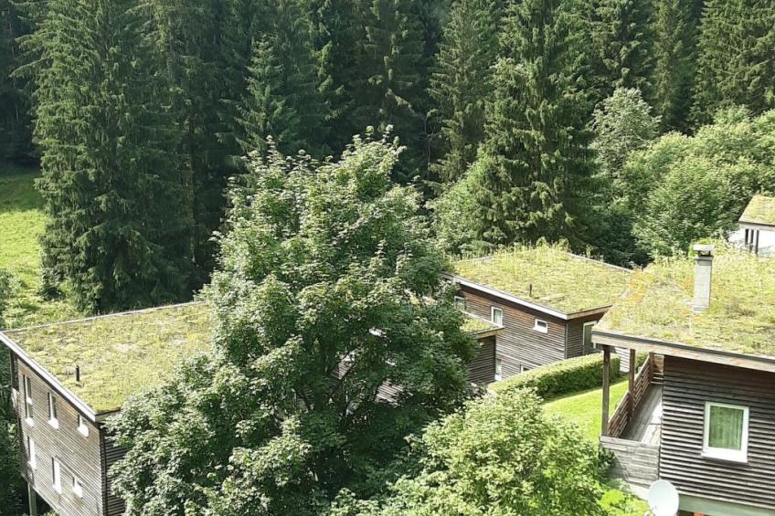 für 9 Personen im Thüringer Wald - foto 35