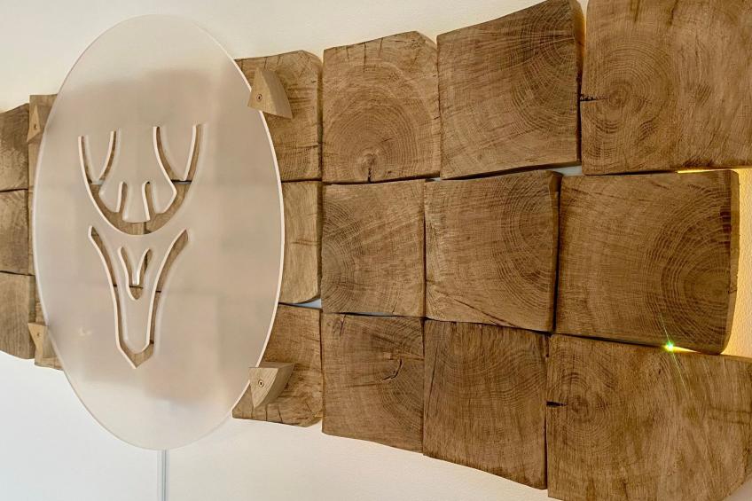 Fewo Albatross - foto 9