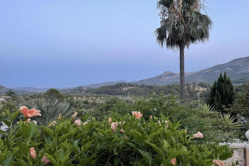 Finca Caballo Verde - foto 27