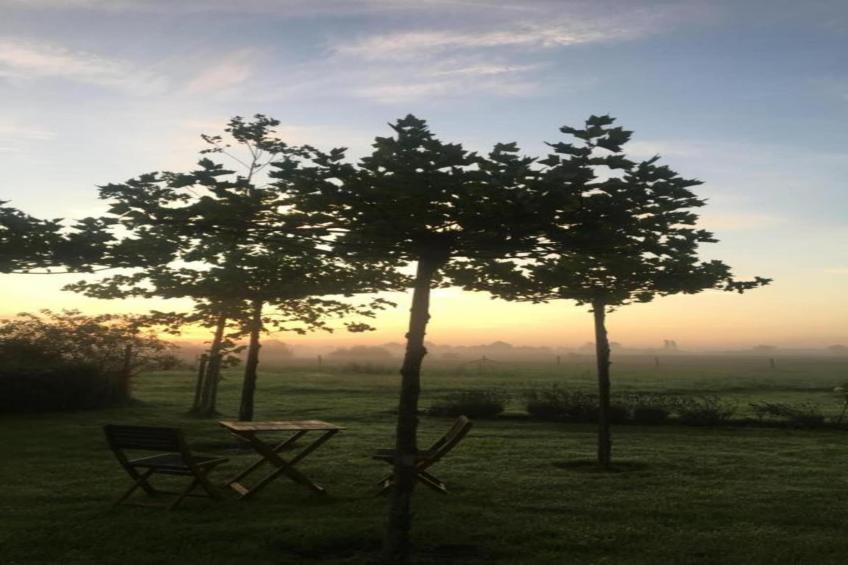 De Mattelier - foto 21