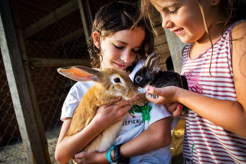 "Cobert del Carro". - foto 25