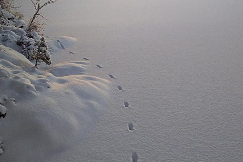 Gemütliches Haus in Arvika mit Garten und Grill - foto 22