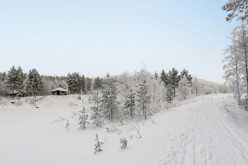 Keselmäkangas - foto 6