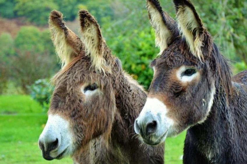 ARTZAMENDI - foto 16