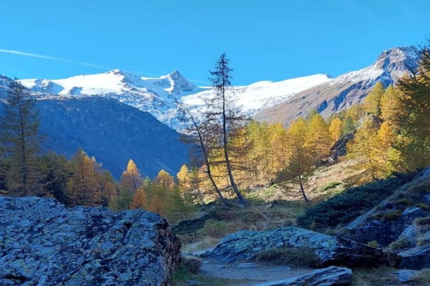 Gernkogelblick - foto 22