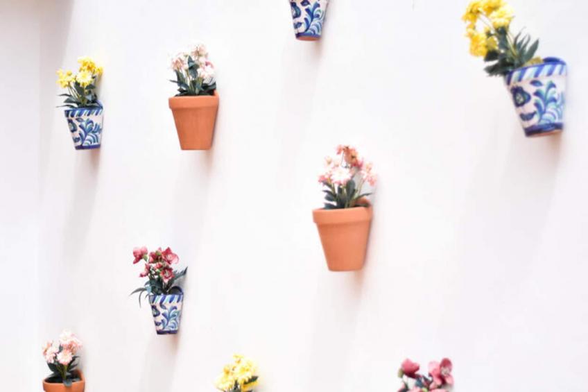 Maison à Moncofar - foto 46