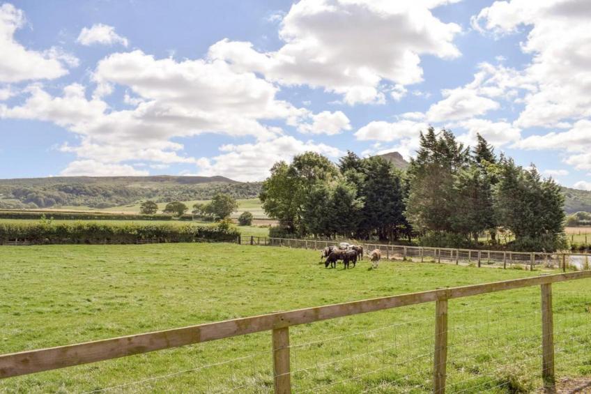 Ingleby Manor - Gun Room - foto 22
