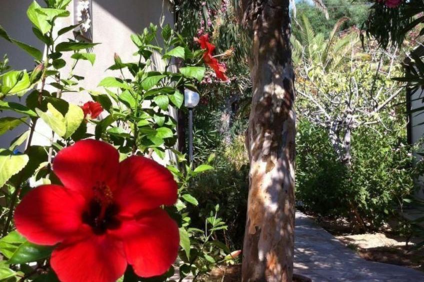 La Perla 8 - foto 38